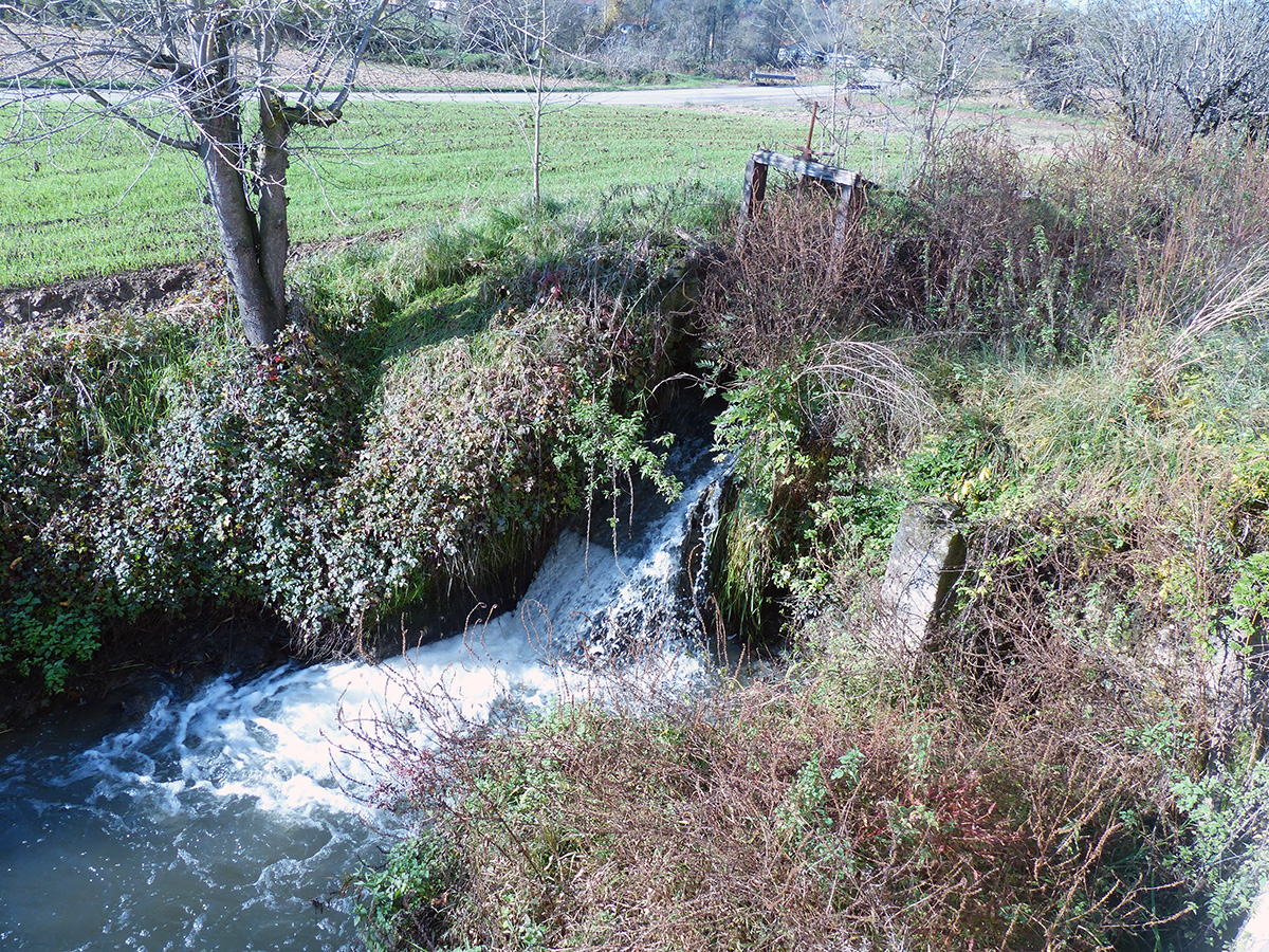 Progettazione Mini-hydro ad acqua fluente